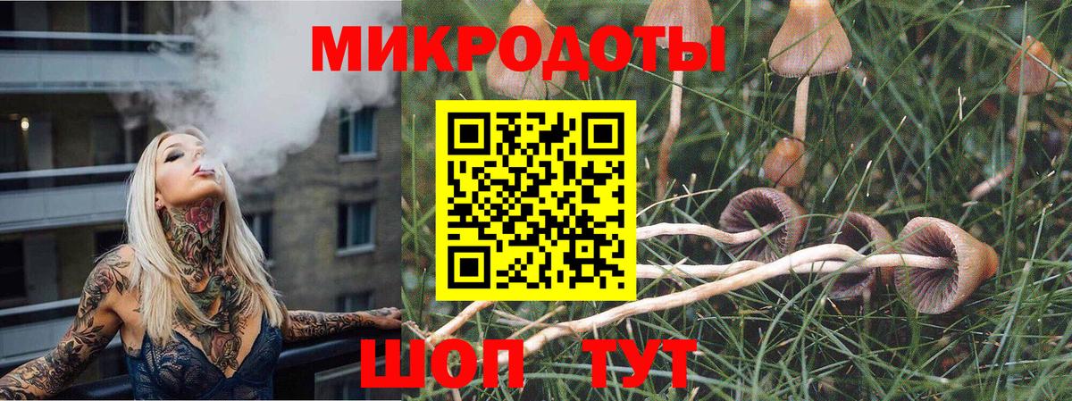 Псилоцибиновые грибы прущие грибы  закладка  Дзержинский  Вход с VPN 
